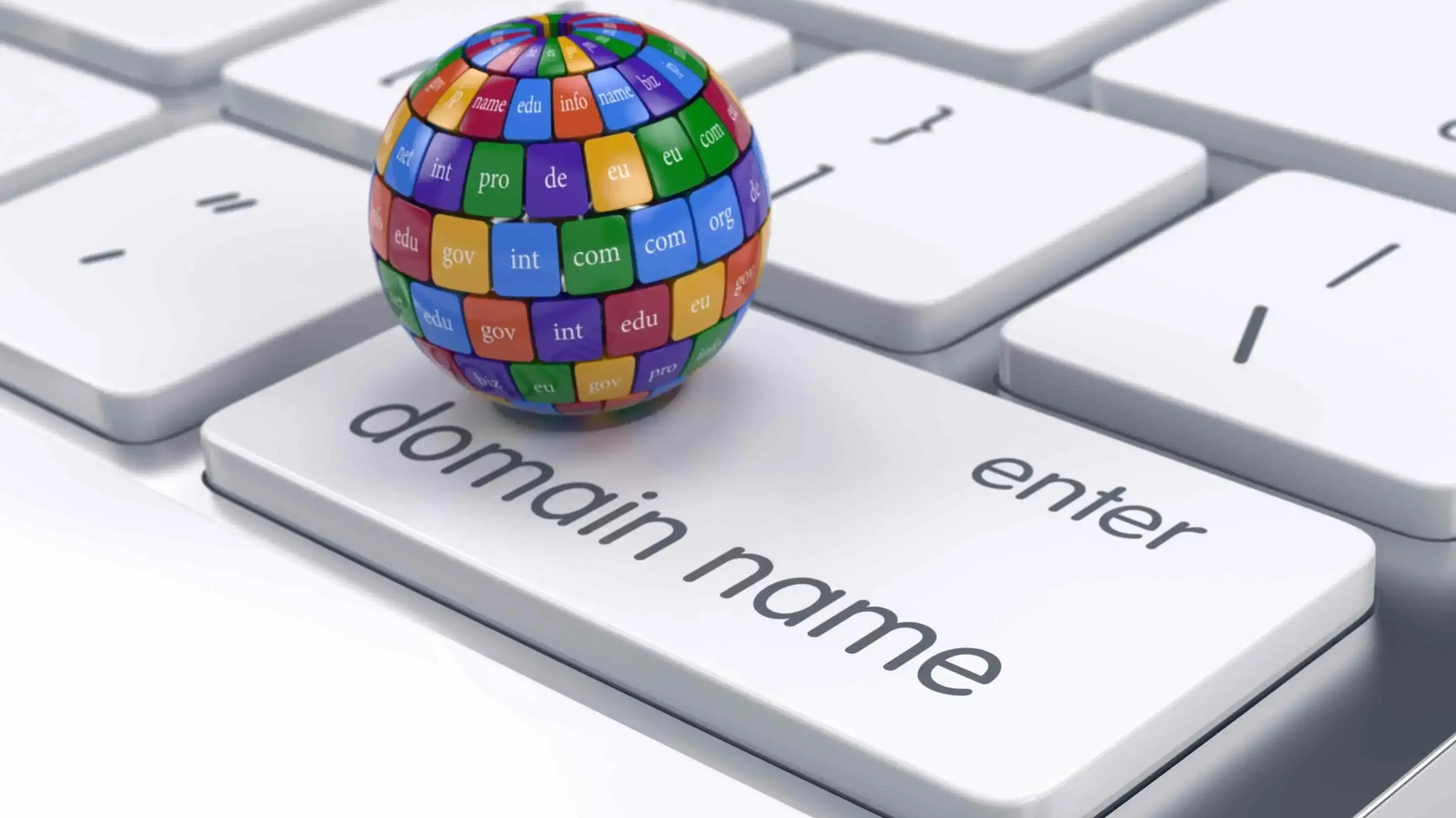 web domain jenis fungsi